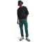 UNDER ARMOUR Vibe Woven Cargohose Herren 338 - rack green/black S