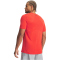 UNDER ARMOUR Vanish Seamless Trainingsshirt Herren 690 - venom red/black M