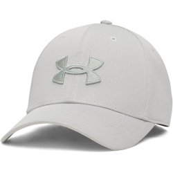 UNDER ARMOUR Blitzing Cap Herren 069 - titanium/clay green M/L