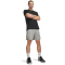 UNDER ARMOUR Vanish 6" Trainingsshorts Herren 069 - titanium/ultimate black XS