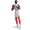 UNDER ARMOUR Funktionshose Herren 690 - venom red/white M