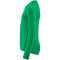 CRAFT Ability Baselayer Langarmshirt Kinder 6510 - team green 122/128