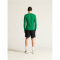 CRAFT Ability Baselayer Langarmshirt Herren 6510 - team green XS
