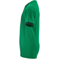 CRAFT Evolve 2.0 Graphic Trikot Kinder 6510 - team green...
