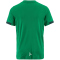 CRAFT Evolve 2.0 Graphic Trikot Kinder 6510 - team green 122/128