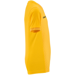 CRAFT Evolve 2.0 Graphic Trikot Kinder 5520 - sweden...