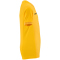 CRAFT Evolve 2.0 Graphic Trikot Kinder 5520 - sweden yellow 122/128