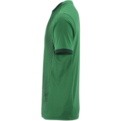 CRAFT Evolve 2.0 Graphic Trikot Herren 6510 - team green XS