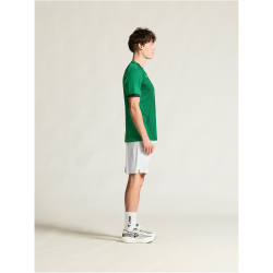 CRAFT Evolve 2.0 Graphic Trikot Herren 6510 - team green XS