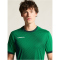 CRAFT Evolve 2.0 Graphic Trikot Herren 6510 - team green XS