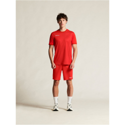 CRAFT Evolve 2.0 Graphic Trikot Herren 4300 - bright red XS