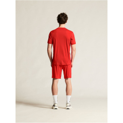 CRAFT Evolve 2.0 Graphic Trikot Herren 4300 - bright red XS