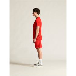 CRAFT Evolve 2.0 Graphic Trikot Herren 4300 - bright red XS