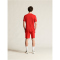 CRAFT Evolve 2.0 Graphic Trikot Herren 4300 - bright red XS