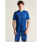 CRAFT Evolve 2.0 Graphic Trikot Herren 3460 - club cobolt XS