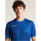 CRAFT Evolve 2.0 Graphic Trikot Herren 3460 - club cobolt XS