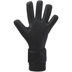 erima AeroClaw Star Torwarthandschuhe