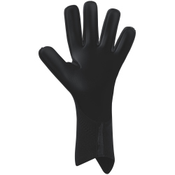 erima AeroClaw Legend Torwarthandschuhe