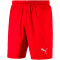 PUMA Liga Core Shorts