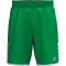 erima Wings Trainingsshorts smaragd S