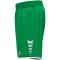 erima Wings Trainingsshorts Kinder smaragd 128