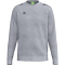erima CMPT Wings Sweatshirt Kinder grau melange 128