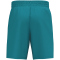 erima Celebrate 125 Shorts Kinder tahitian blue 116