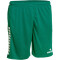 DERBYSTAR Primo Shorts grün/weiß S