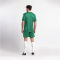 DERBYSTAR Contra Trikot grün/weiß 116