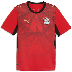 PUMA EFA Ägypten Heimtrikot 2026 Herren