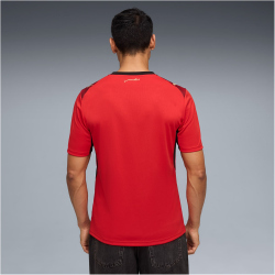 PUMA EFA Ägypten Heimtrikot 2026 Herren