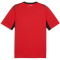 PUMA EFA Ägypten Heimtrikot 2026 Herren