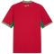 PUMA FRMF Marokko Heimtrikot 2026 Herren