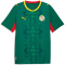 PUMA FSF Senegal Auswärtstrikot 2026 Herren