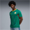 PUMA FSF Senegal Auswärtstrikot 2026 Herren