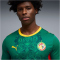 PUMA FSF Senegal Auswärtstrikot 2026 Herren