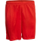 DERBYSTAR Basic Shorts rot 116
