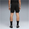 PUMA Dreamrun 2in1 3" DryCELL Laufshorts Herren