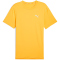 PUMA Run Cloudspan Laufshirt Herren