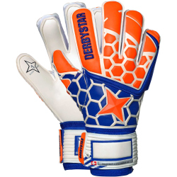 DERBYSTAR Protect Columba III Torwarthandschuhe...