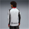 PUMA AC Mailand x Slam Jam langarm Trikot Herren 01 - silver mist L