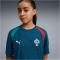 PUMA FPF Portugal Trainingsshirt 2026 Kinder 15 - ocean tropic/silver mist 128