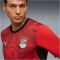 PUMA EFA Ägypten Heimtrikot 2026 Herren 01 - PUMA red/intense red S