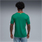 PUMA FSF Senegal Auswärtstrikot 2026 Herren 02 - wild green/puma red S