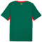 PUMA FSF Senegal Auswärtstrikot 2026 Herren 02 - wild green/puma red S