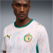 PUMA FSF Senegal Heimtrikot 2026 Herren 01 - PUMA white/wild green S