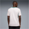 PUMA FSF Senegal Heimtrikot 2026 Herren 01 - PUMA white/wild green S