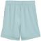 PUMA teamGOAL Shorts Kinder 41 - modern mint/puma black 152