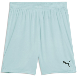 PUMA teamGOAL Shorts Herren 41 - modern mint M