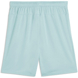 PUMA teamGOAL Shorts Herren 41 - modern mint M